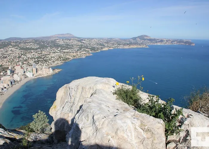 Isea 245 - Grupo Turis *